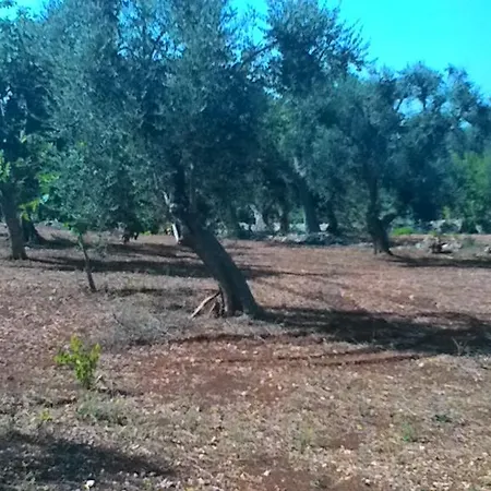 Terrantica Alloggio in famiglia Ceglie Messapica