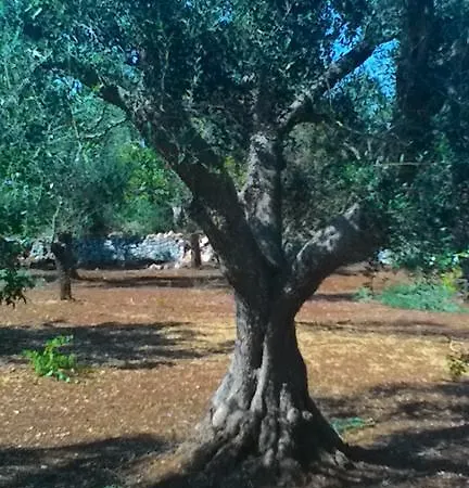 Alloggio in famiglia Terrantica Ceglie Messapica